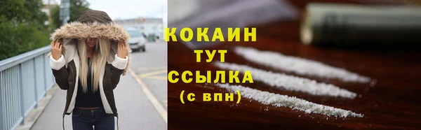 спайс Алексин
