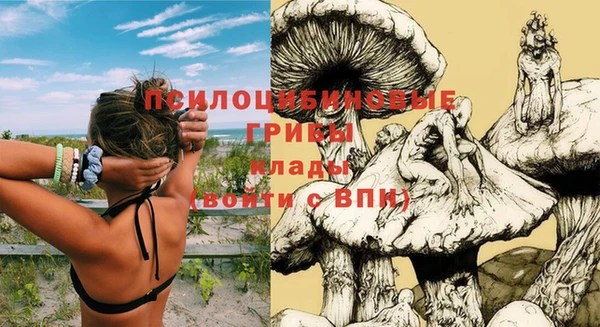 дурь Алексеевка