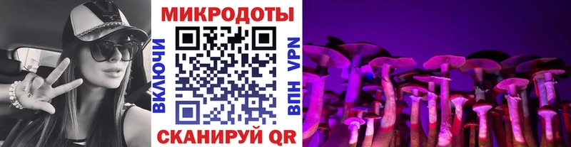хочу   Междуреченск  blacksprut как войти  Псилоцибиновые грибы мицелий 